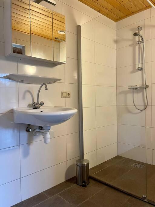 Unieke Houten Villa Met Sauna In Twente - 6P Den Ham Exterior photo