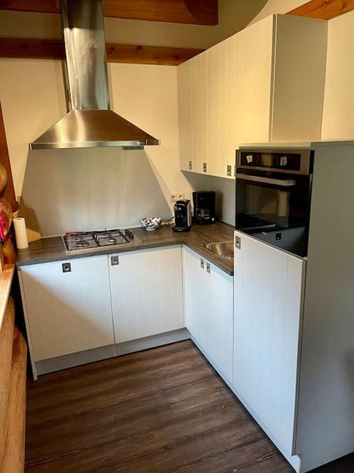 Unieke Houten Villa Met Sauna In Twente - 6P Den Ham Exterior photo