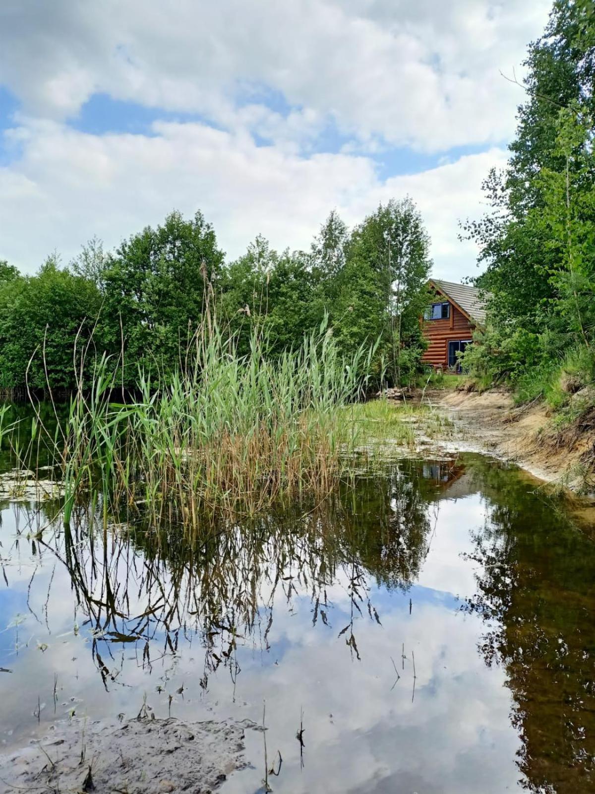 Unieke Houten Villa Met Sauna In Twente - 6P Den Ham Exterior photo
